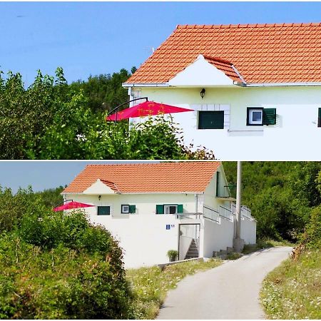 Villa House Lucia Brstanovo Exterior foto
